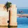 mazagan_hawk