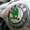 mr_car_fan