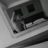 _rialex