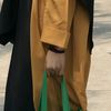 aksarapuan
