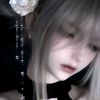 livreen1