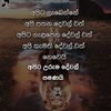 user1387593961240
