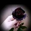 yozrsif