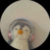 adysss242