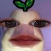 nindyoktaaaa1