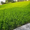 taolataochuai.ne