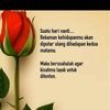 rencusleo355