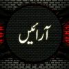 shazadaarine39