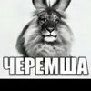 vladossyeta