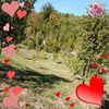 user7730856299447