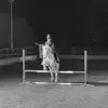 freya..equine