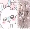 reiikii1_