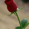 doaasupplication36