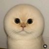 jsnjjtj20_03