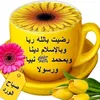 abusalehalbasha1