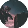 seli_aa