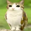 yawyaw.com.ph