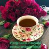halil.383