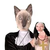 normdima75gmail.com
