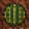 rollingcactus_