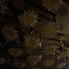 isrhlmc_27