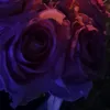 dywy3zqy1q3m
