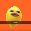 dankwoodz