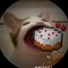 axellltc.__