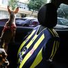 kumsalfener