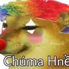 369minhnhat