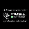 _pdaudio