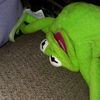 kermitd.frog