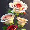 shamim192024