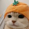 pupppuuu__