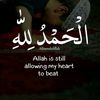 abdulrrazak24