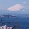 morinomukou017