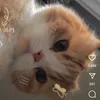 maeelllllllll