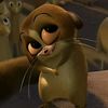 honey_sweetieeee