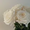 leei.al