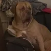 bexlyb