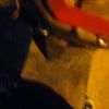 kuli_71