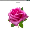 niha_d65