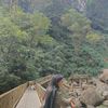 berlian_1234_