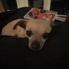 laaauuren
