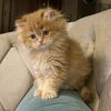 sarah_h.575