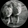 user8817dj9cg6