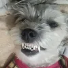 luninha.lindaaa