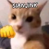 xnstone23