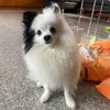 nnnuuttt01