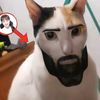 gatuno_51.2